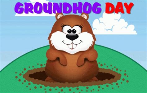 groundhog day gifs|funny happy groundhog day.